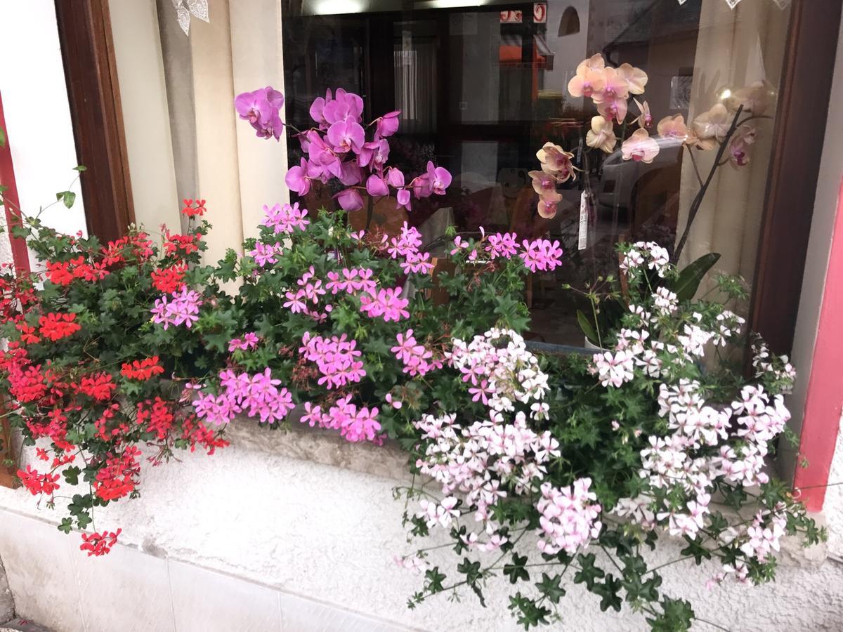 Hotel Alle Alpi Alleghe Kültér fotó